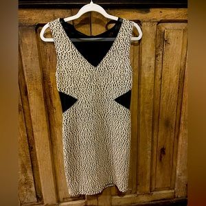 Gold and Black Sheer Mini Dress!